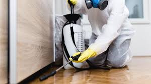 Reliable Wayne City, IL Pest control Solutions